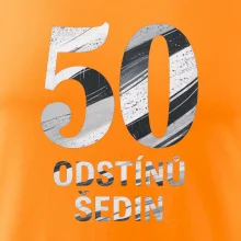 50 ODSTÍNŮ ŠEDIN