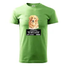 Lump a darebák zlatý retrívr