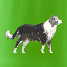 Border kolie kreslená