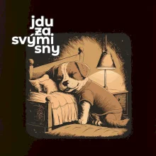 Jdu za svými sny Jdu za svými sny