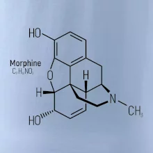 Molekulární struktura Morfin