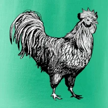 Kohout kreslený černobílý