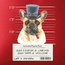 Lump a darebák francouzský buldoček