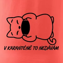 V karanténě to nedávám