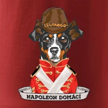 Napoleon domácí pes kříženec