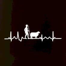 Ekg pastevec ovcí