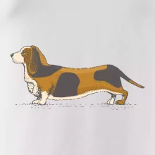 Vintage basset