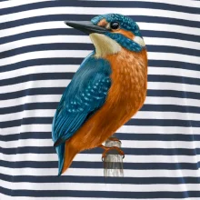 Lednáček kreslený