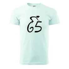 Cyklista slaví pětašedesátku (65)