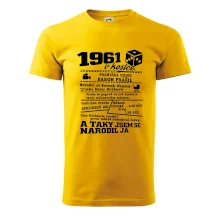 1961 v kostce