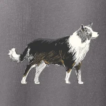 Border kolie kreslená