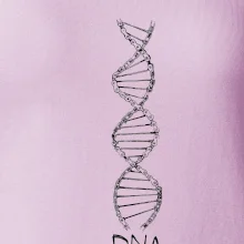 Cyklistovo DNA