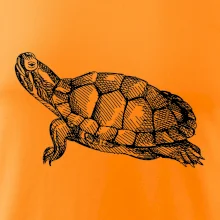 Tužkou kreslená želva