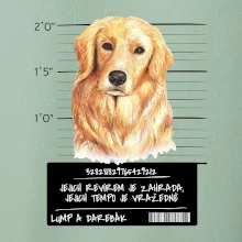 Lump a darebák zlatý retrívr