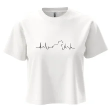 Stafordšírsky bulteriér EKG