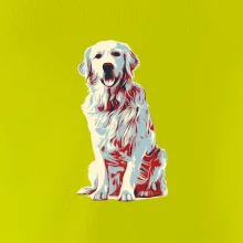 Zlatý retriever vintage