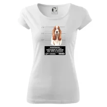 Baset - lump a darebák