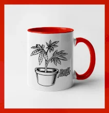 Konopi prostě pěstuju