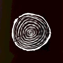 Letokruhy 15 bez věku