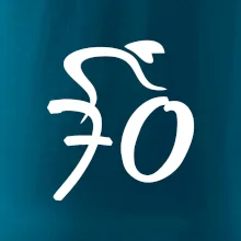 Cyklista slaví sedmdesátku (70)