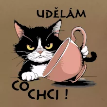 Kočka - udělám co chci