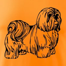 Shih-tzu - chlupatý