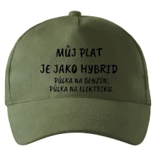 Můj plat jako hybrid