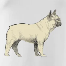 Vintage French bulldog