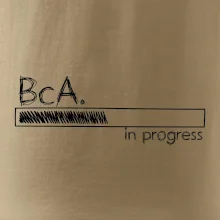 In progress  titul BcA. bakalář / bakalářka umění