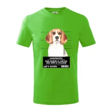 Lump a darebák bígl