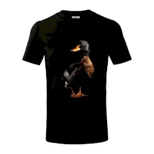 Kachna stojící černá fotka