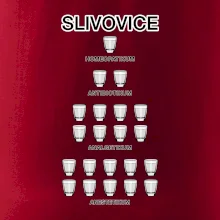 Slivovice počítání (Hana-creative)