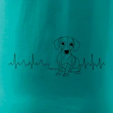 EKG křivka jezevčík