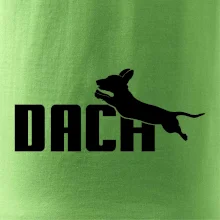 Jezevčík Dach