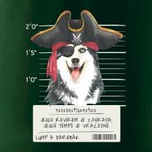 Lump a darebák husky