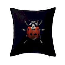 Beruška za shora černá fotka