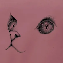 Kočičí oči černé