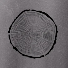 Letokruhy 45 bez věku