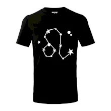 Souhvězdí - Leo - Lev