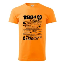 1984 v kostce