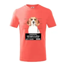 Lump a darebák bígl