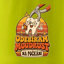 Odebírám moudrost na počkání