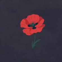 Vlčí mák kreslený velký