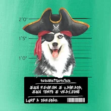 Lump a darebák husky