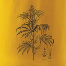 Konopí kytka černobílá