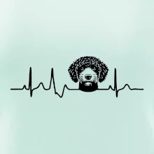 Lagotto romagnolo hlava EKG