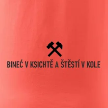 BINEĆ V KSICHTĚ A ŠTĚSTÍ V KOLE﻿