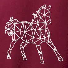 Geometrie - kůň jednobarevná