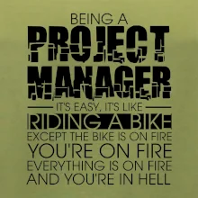 Being A Project Manager - bike