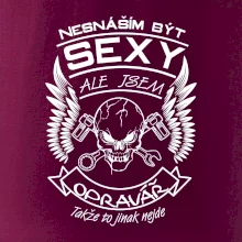 Nesnáším být sexy - opravář